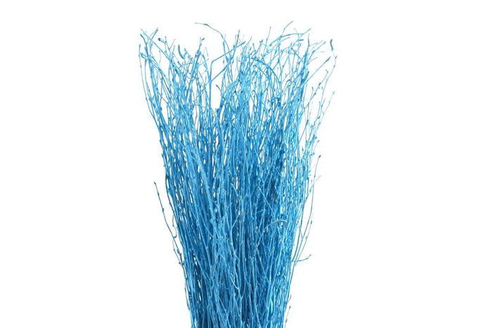 <h4>Berk Klb Blue Light</h4>