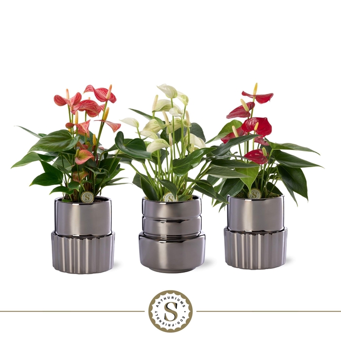 <h4>Oslo Silver Keramiek 9cm Mix</h4>