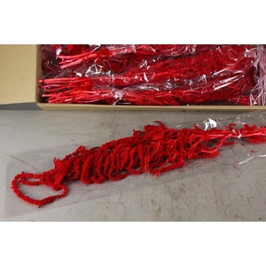 Pf Amaranthus Hang Red Bs