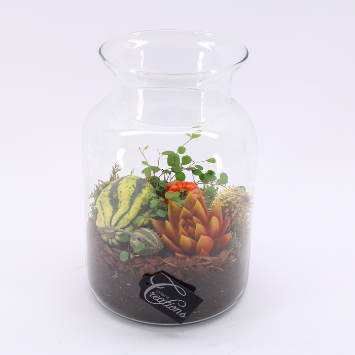 HFCR-2411 Herfst fruit creatie terrarium