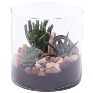 Yearround Arr. Succulent Glass Vase Cylinder Ø15cm 3PP