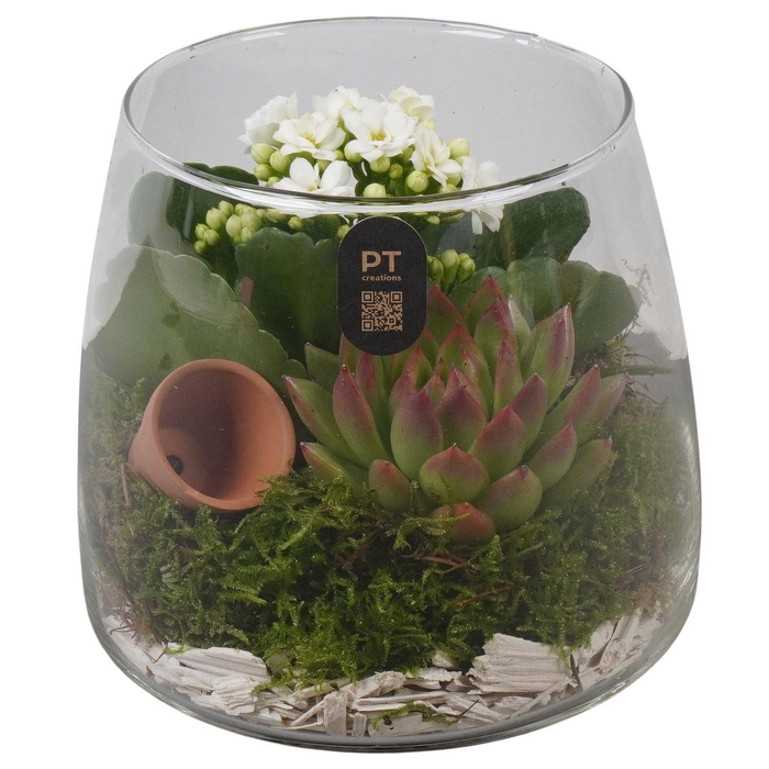 <h4>Arr.    Planten  L%</h4>