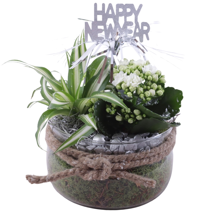 <h4>New Year Arr. Indoor Glass Bowl Ø16cm 2PP</h4>