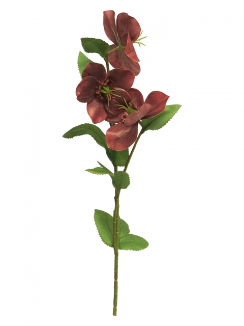 SILK FLOWERS - HELLEBORUS MONICA PINK-GREEN 40CM