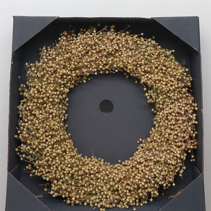 <h4>Wreath Dried Vlas Naturel 50cm Carton Box</h4>