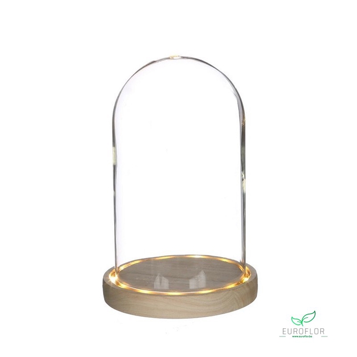 LED DOME WITH WOODEN BASE D14 H.21.5 CM