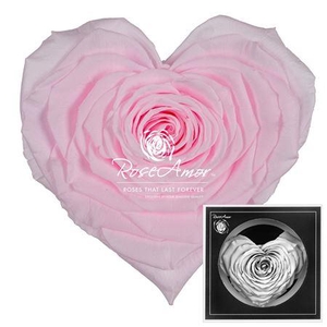 Corazon Pin99