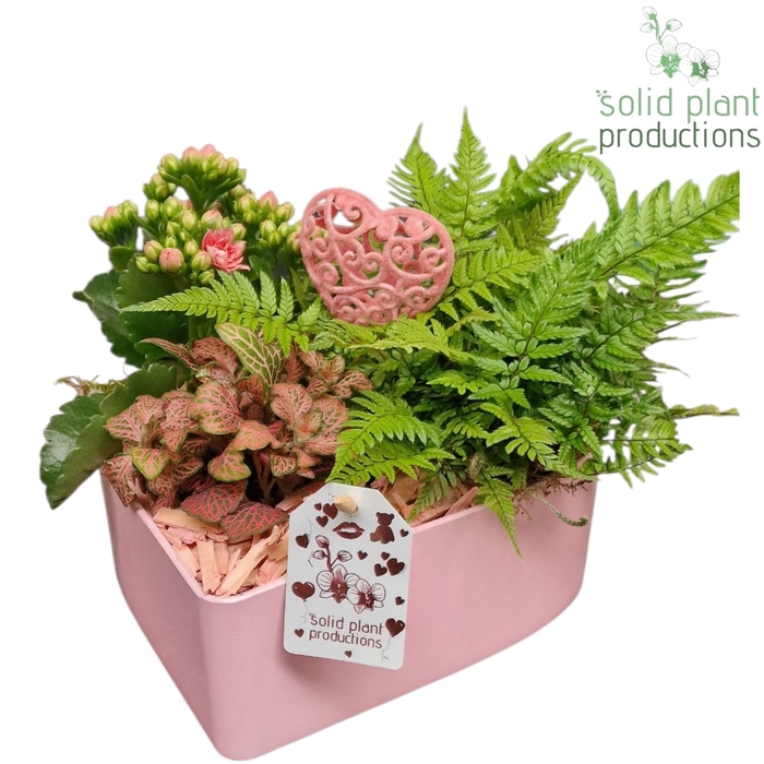 <h4>VE028 Hart Pink 3PP</h4>
