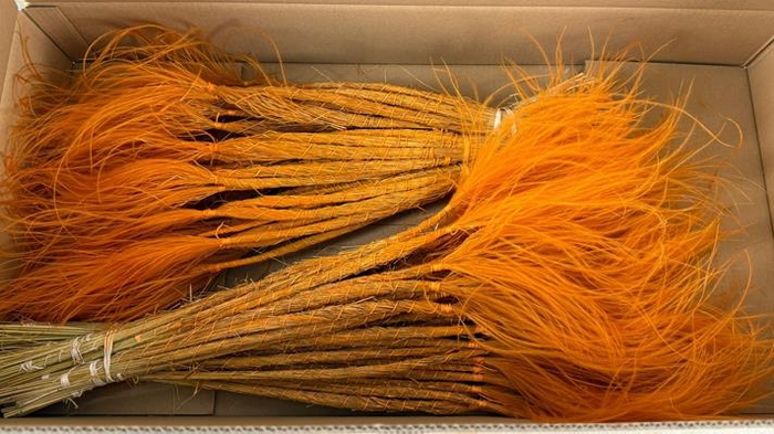 <h4>Df Stypha 60cm Bs Orange</h4>