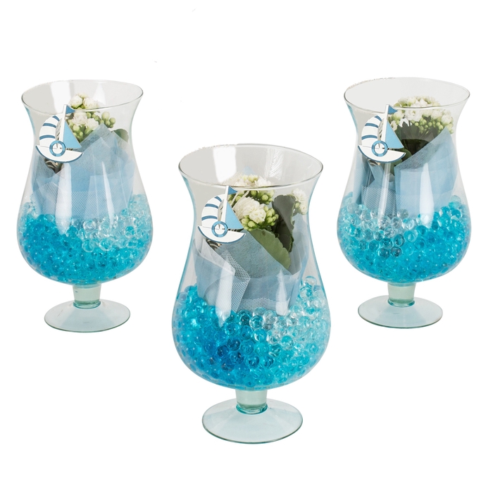 <h4>Opm Maritime Indoor Glass: Cognac Glass</h4>