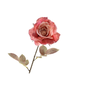 Rosa Dried Pink