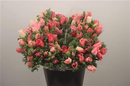 <h4>Anemone Mistral Shocking Pink</h4>