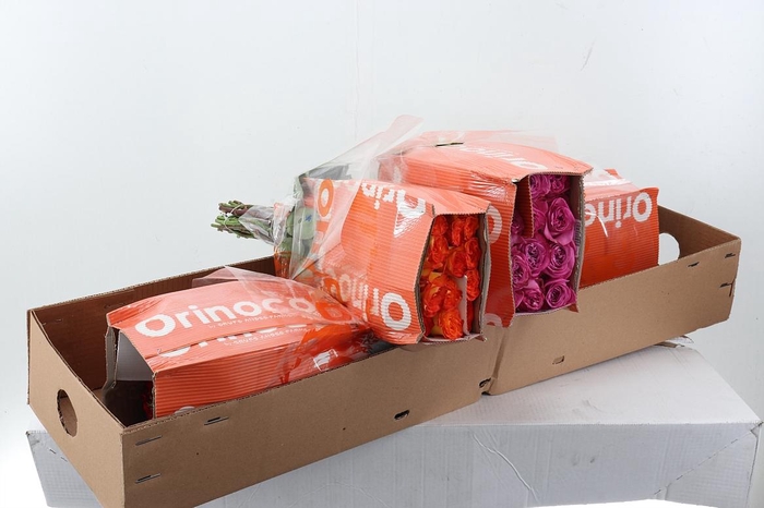 <h4>R Gr Assorti Mixed Box 40cm CO</h4>