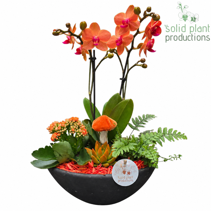 <h4>PH011 Ebbi Medium Orange Autumn</h4>