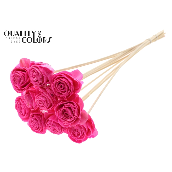 <h4>Shola Beauty Rose 6cm on stem Wax Cerise</h4>