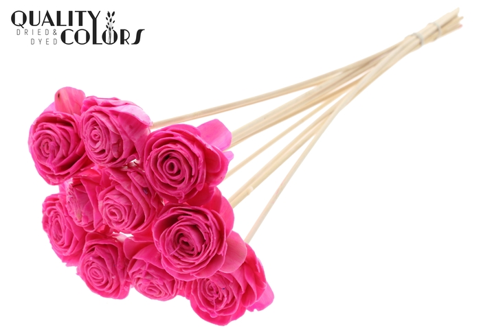 Shola Beauty Rose 6cm on stem Wax Cerise