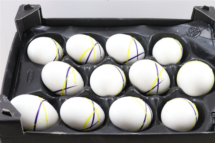 <h4>Deco Egg Ganzen Streep Geel/paars</h4>