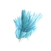 Palm Sun Blue Light