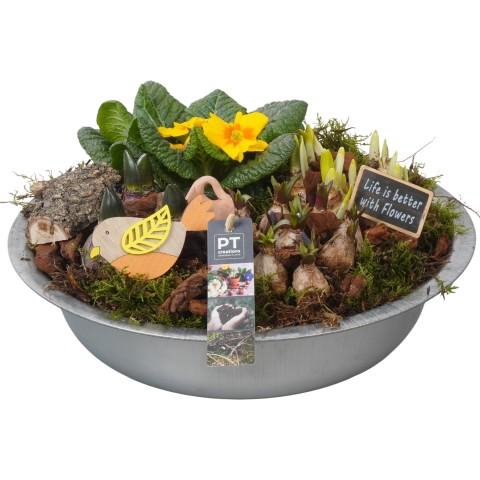 <h4>PTBM3791 Arrangementen Tuinplanten</h4>