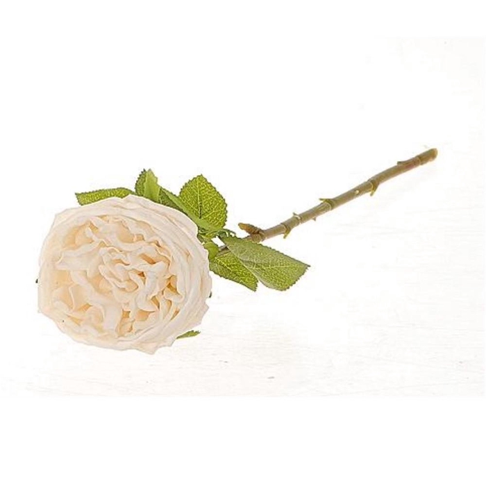<h4>Rosa 44cm</h4>