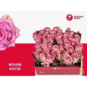R Gr Wham