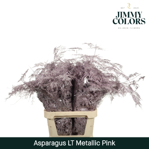 <h4>Asp lang getopt  Metallic pink</h4>