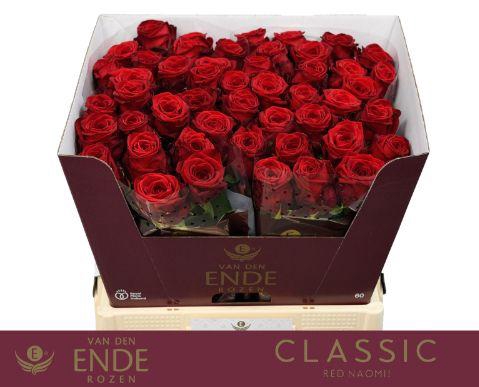 <h4>R GR RED NAOMI! CLASSIC 60cm</h4>