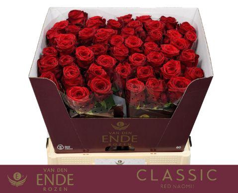 <h4>R GR RED NAOMI! CLASSIC 60cm</h4>