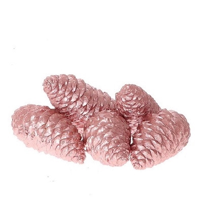 <h4>Dennenappels Maritima wax closed 12cm x5</h4>