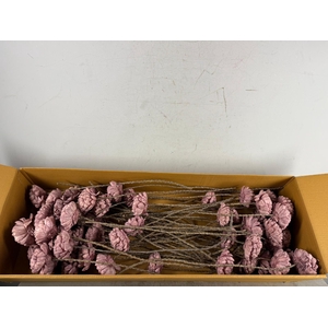 Stick Shola ArtichokeØ12 O.Pnk