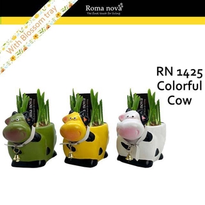 arr4 Narcis RN - Colorful cow