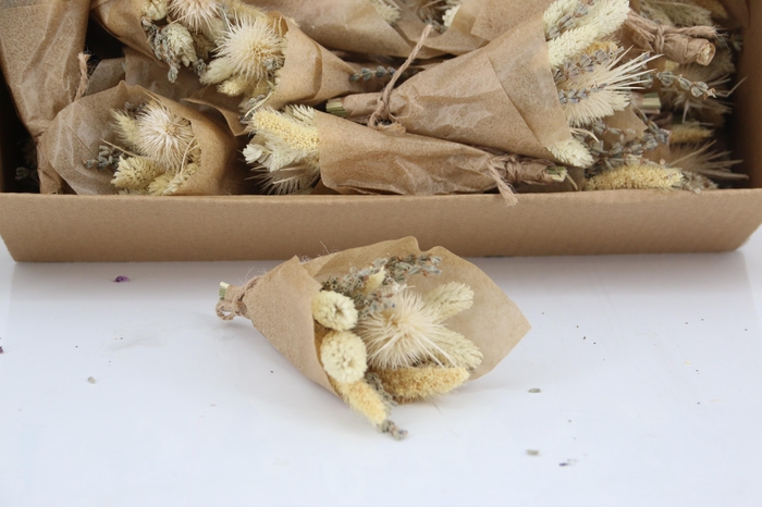 <h4>DF Bouquet 15cm A'dam Bleached</h4>