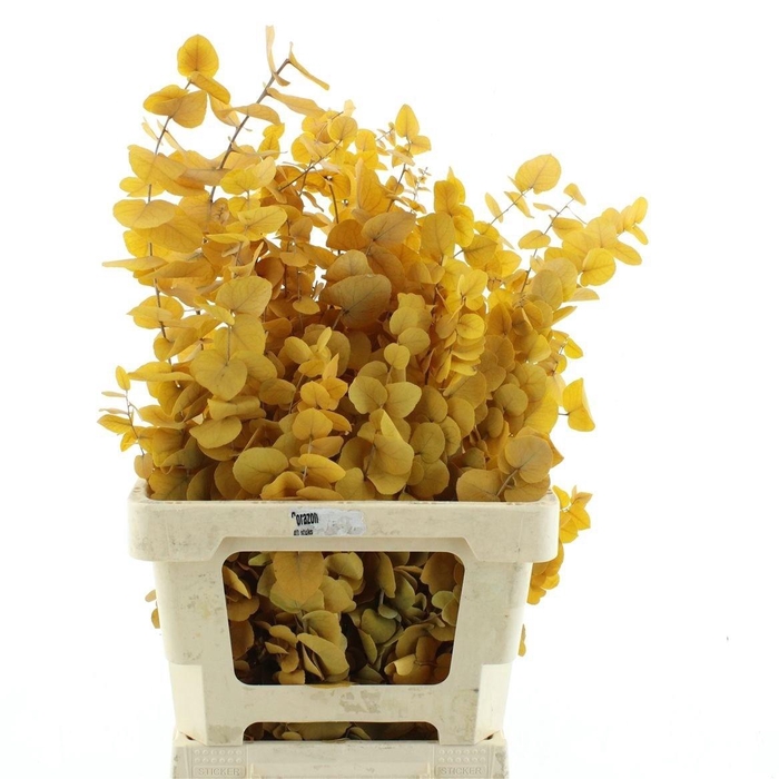<h4>DECOGROEN OV KLB H%</h4>
