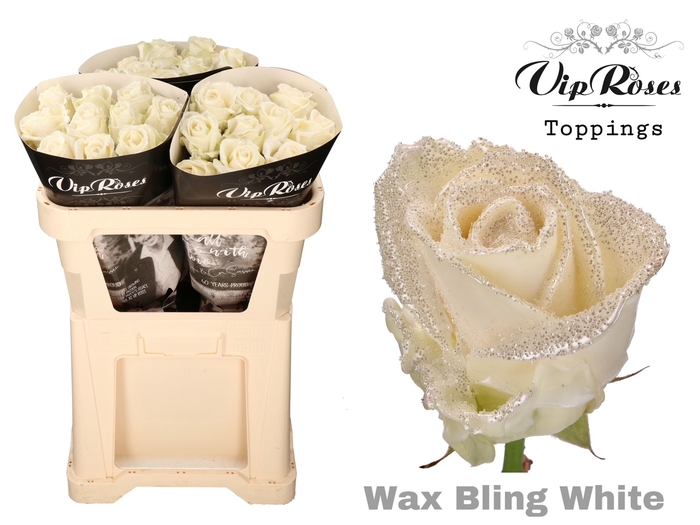R GR WAX BLING WHITE
