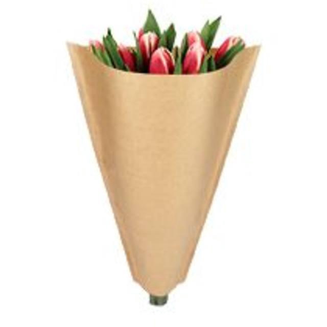 <h4>Kraft 40*25*10cm x50</h4>