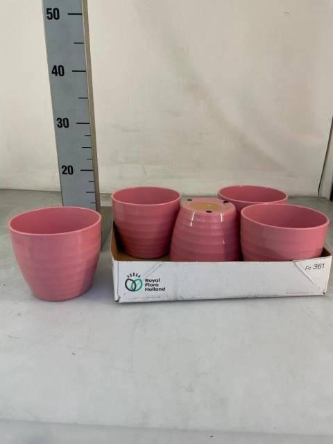 <h4>HUIS EN TUINDECO H%</h4>