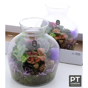 ARR KAMERPLANTEN H%