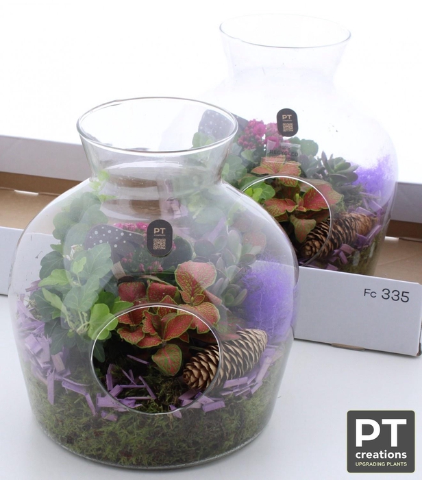 <h4>ARR KAMERPLANTEN H%</h4>