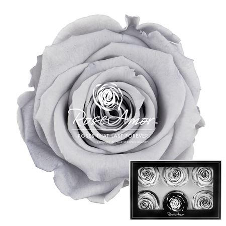 <h4>Lplus Gry02</h4>