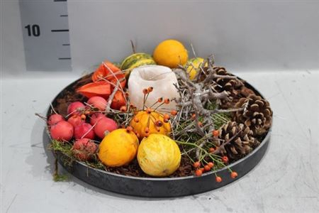 Arr Sierfruit In Zinken Schaal + Seasalt Potje