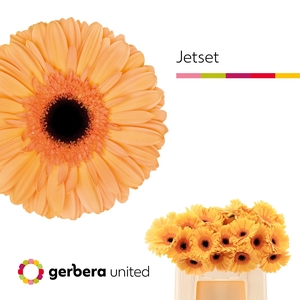 GE GR JETSET