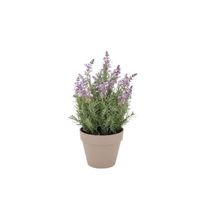 Silk Lavender Purple Pot Terra L 33x33x49cm