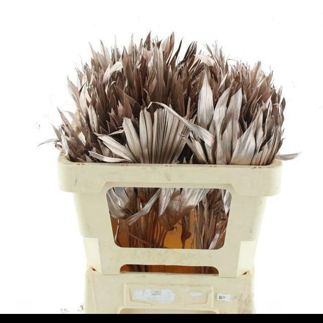 <h4>DROOGBL BEWERKT H%</h4>