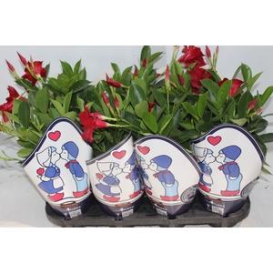 MANDEVILLA P14