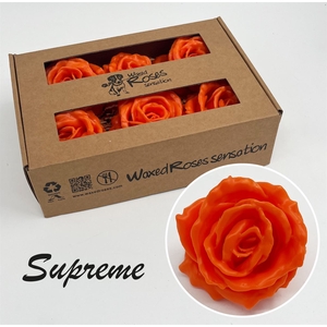 R Zijde Supreme Oranje Wx