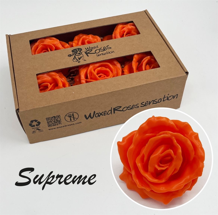 <h4>R Zijde Supreme Oranje Wx</h4>