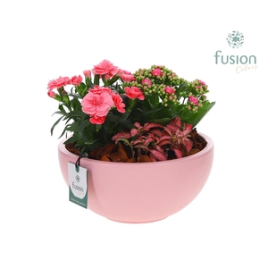 Keramiek Schaal roze met arrangement