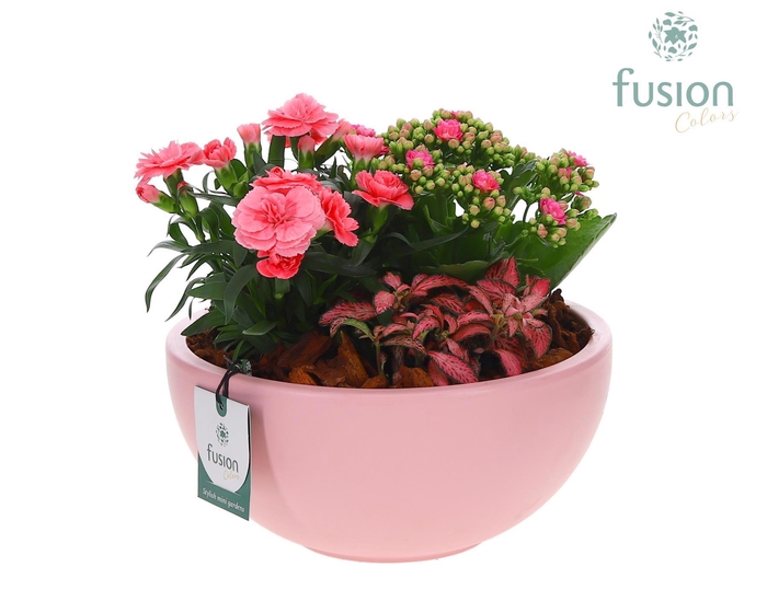 <h4>Keramiek Schaal roze met arrangement</h4>