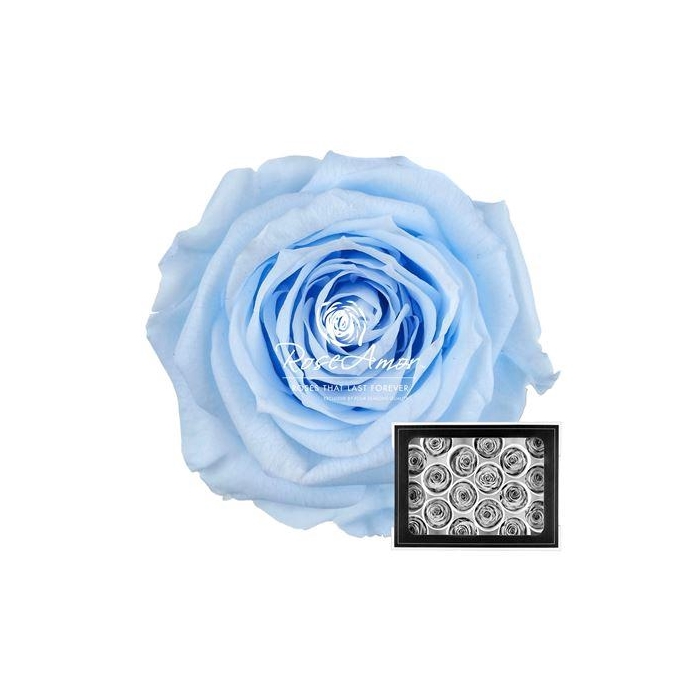 <h4>Xs Blu89</h4>
