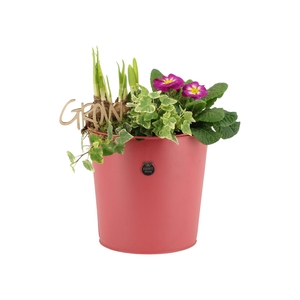 11435: Outdoor spring arrangement